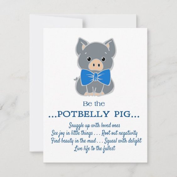 (image for) 2025 WP Be The Potbelly Pig Notecards (8)